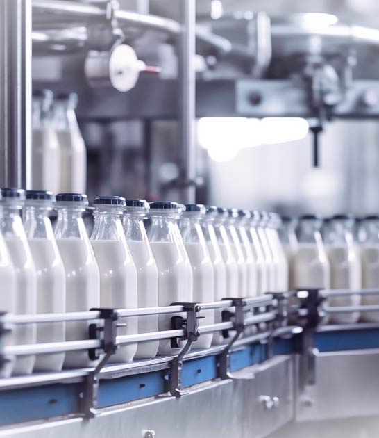 Dairy industry: Production line